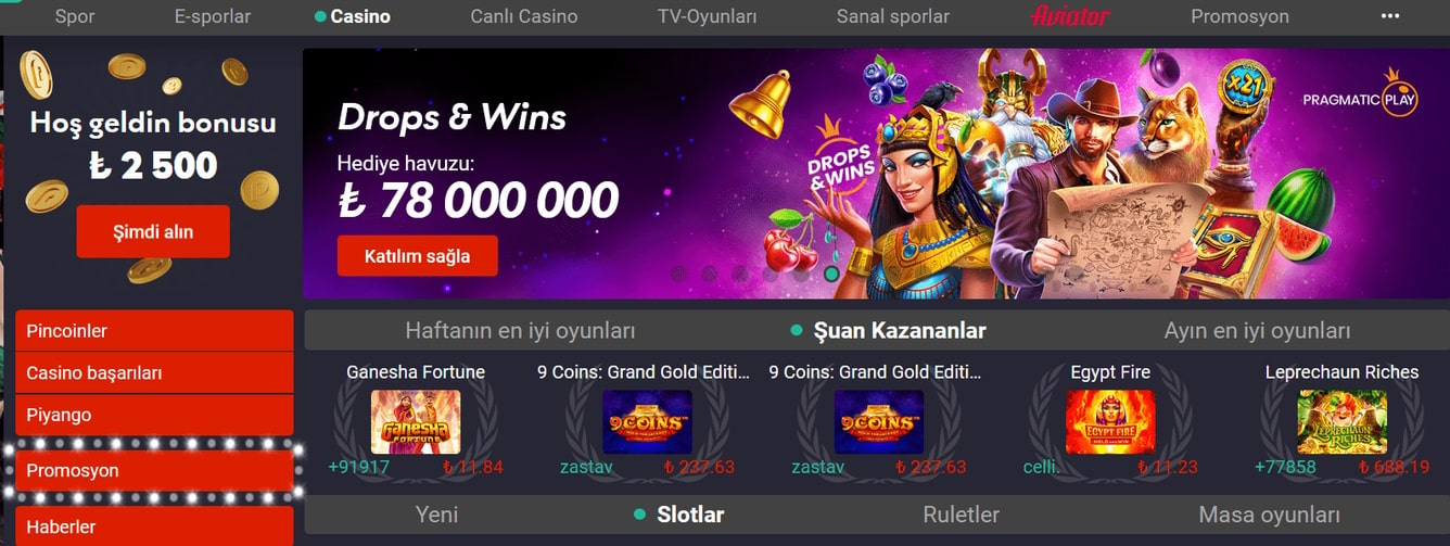 An overview of Pin Up Casino's mobile-friendly features and interface